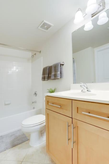 Condo With Gym And Pool In Pentagon City 8Min To Dca Άρλινγκτον Εξωτερικό φωτογραφία